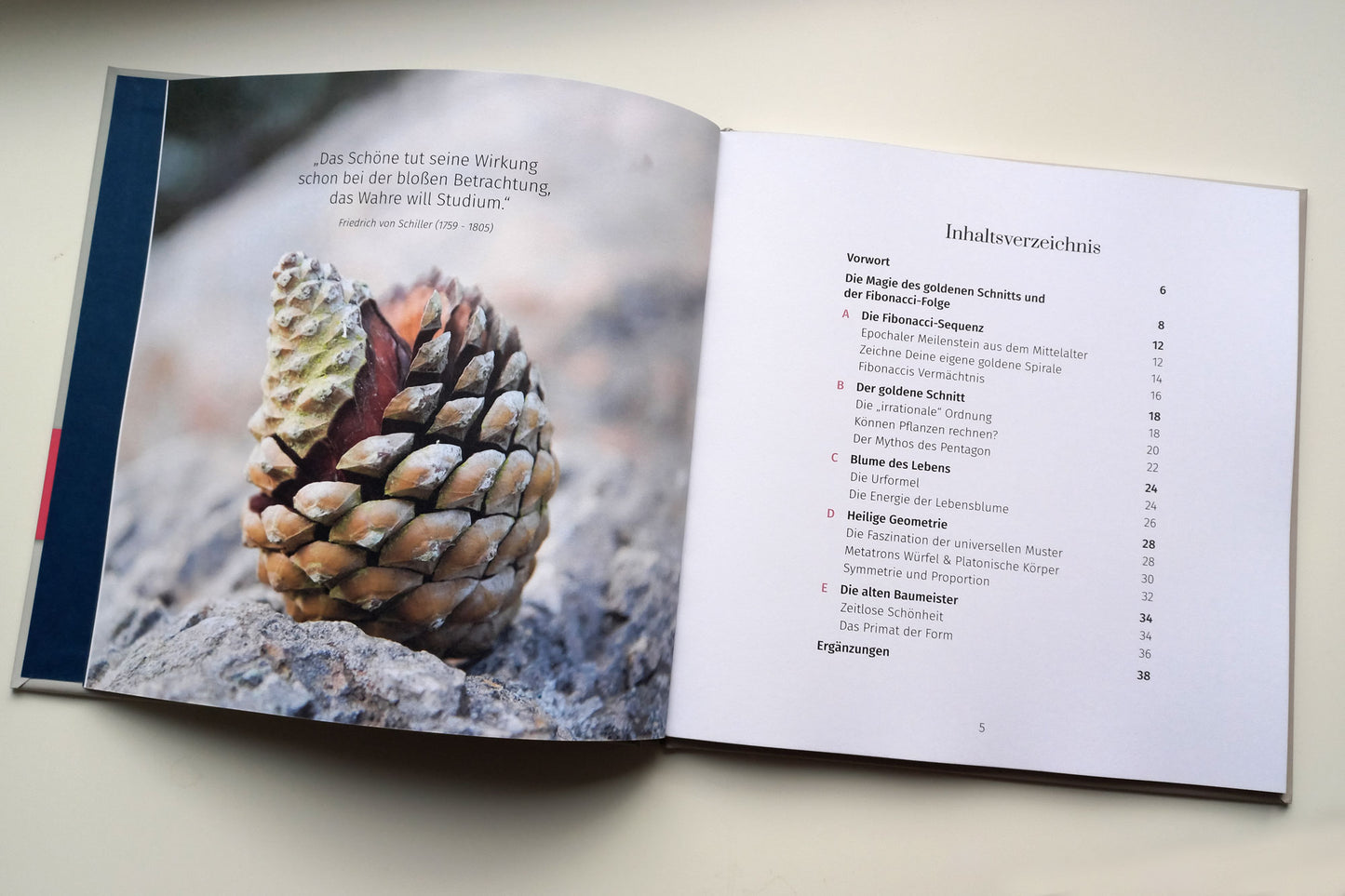 Limitierter Erstdruck: Mal- und Lernbuch "Die Magie des goldenen Schnitts", Hardcover, 40 Seiten