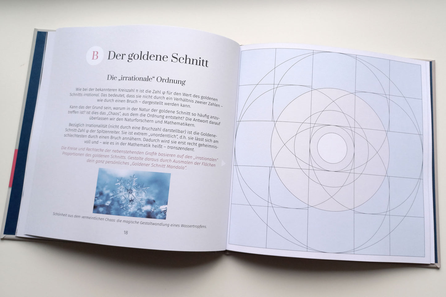 Limitierter Erstdruck: Mal- und Lernbuch "Die Magie des goldenen Schnitts", Hardcover, 40 Seiten