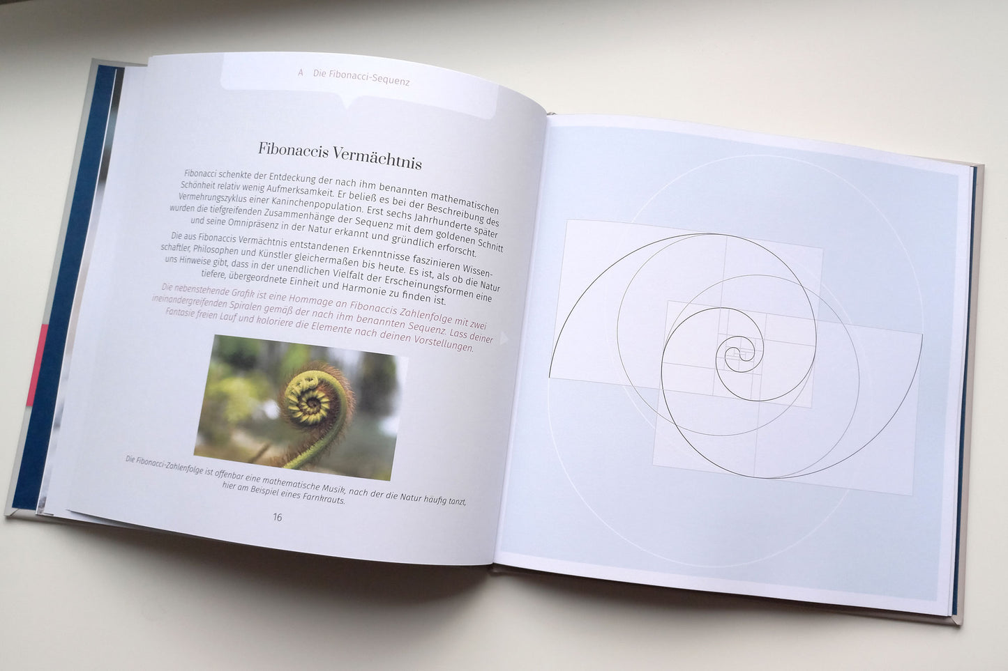 Limitierter Erstdruck: Mal- und Lernbuch "Die Magie des goldenen Schnitts", Hardcover, 40 Seiten